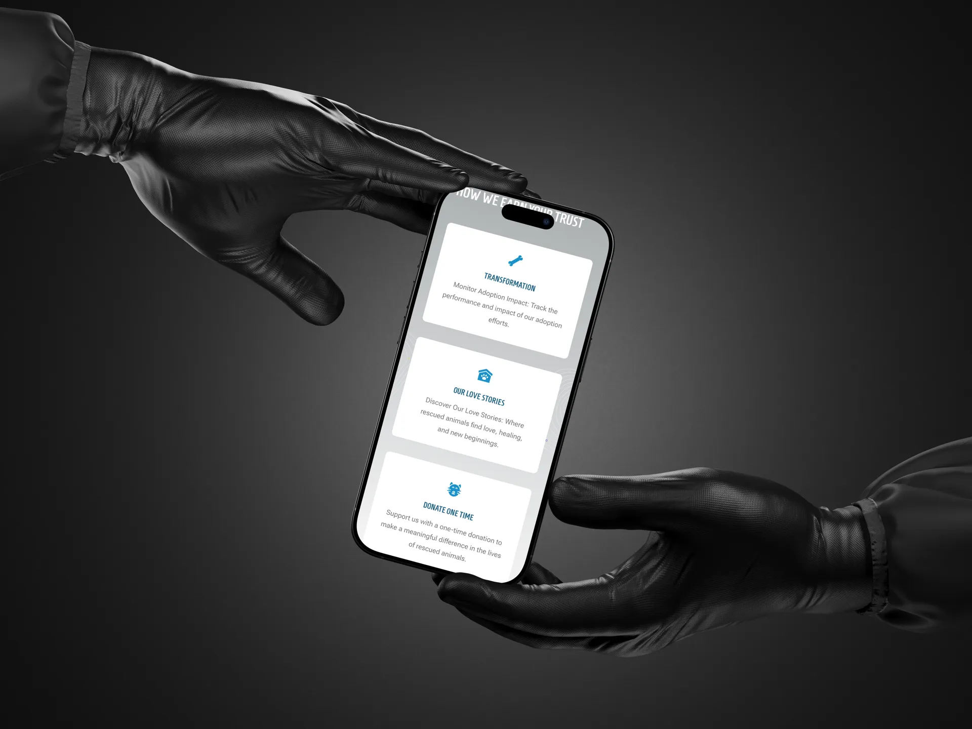 4 Zampe Rescue Albania — image 2