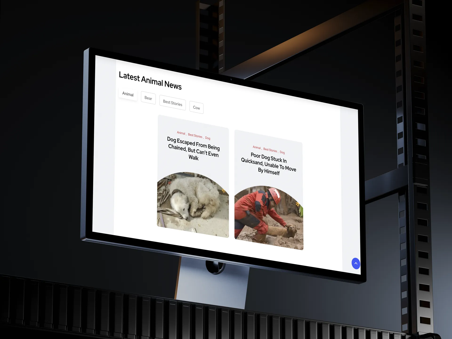 News Animals Fluencer — image 1