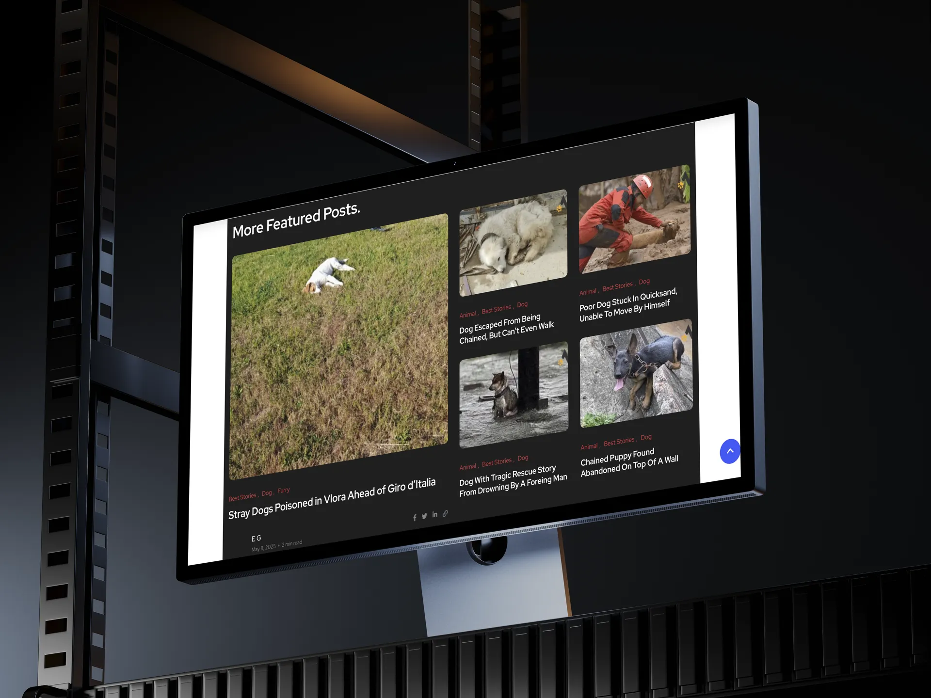 News Animals Fluencer — image 3