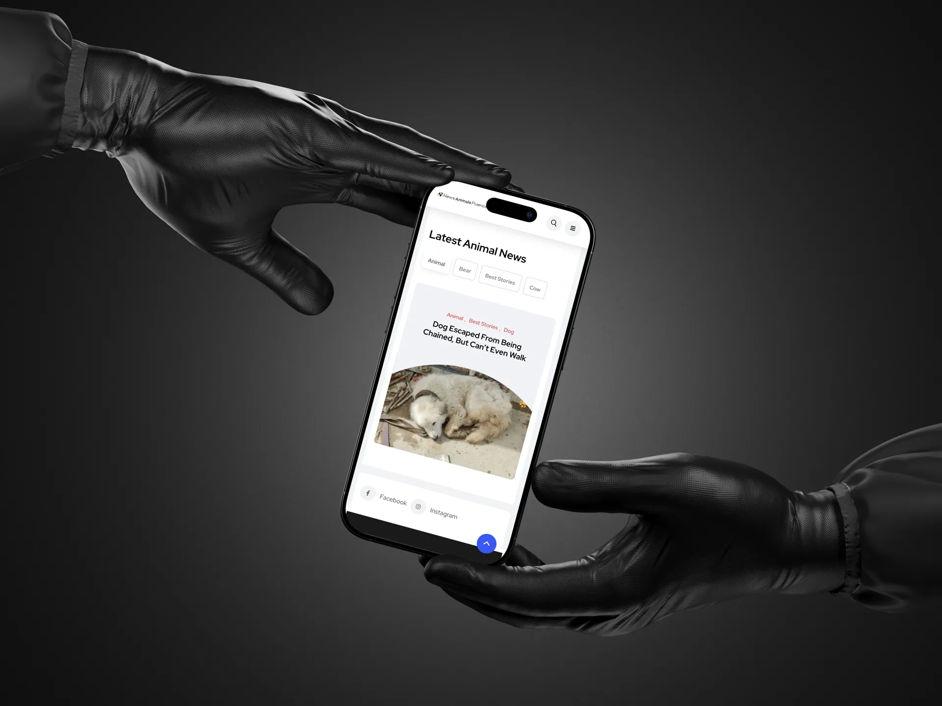 News Animals Fluencer — image 2